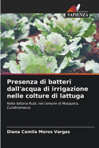 Presenza di batteri dall'acqua di irrigazione nelle colture di lattuga