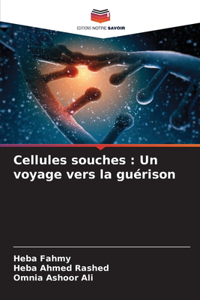 Cellules souches
