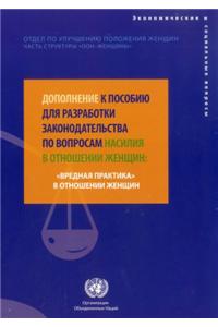 Supplement to the Handbook for Legislation on Violence against Women