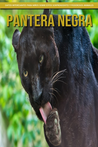 Pantera negra - Datos interesantes para niños sobre estos sorprendentes y poderosos animales