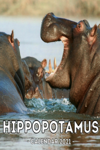 Hippopotamus Calendar 2021