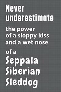 Never underestimate the power of a sloppy kiss and a wet nose of a Seppala Siberian Sleddog