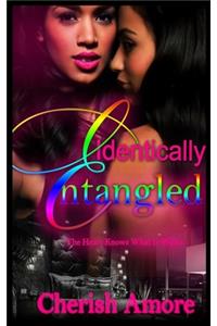 Identically Entangled