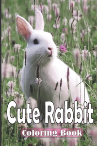 Cute Rabbit Coloring Book