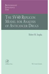 The Sv40 Replicon Model for Analysis of Anticancer Drugs