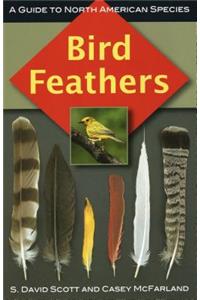 Bird Feathers