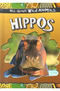 Hippos