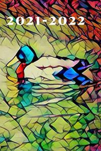 Green and Blue Mallard Duck on Pond Bird Lovers Cute 25 Month Weekly Planer Dated Calendar for Women or Men