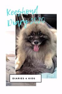 Keeshond Diary 2020