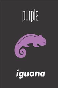 Purple Iguana
