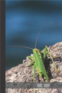 Rocks hopper