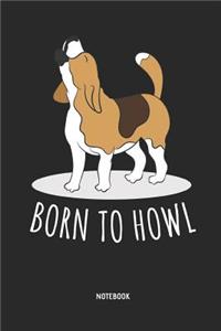 Beagle Notebook