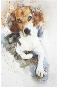 2019-2020 Academic Planner Weekly and Monthly Pleasant Dog