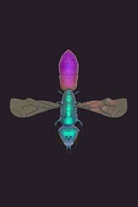 Jewel Wasp Notebook