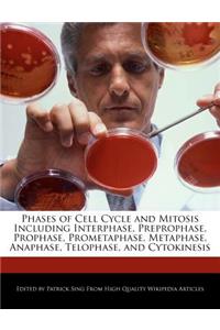 Phases of Cell Cycle and Mitosis Including Interphase, Preprophase, Prophase, Prometaphase, Metaphase, Anaphase, Telophase, and Cytokinesis