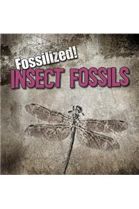 Insect Fossils