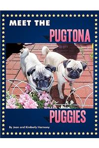 Meet the Pugtona Puggies