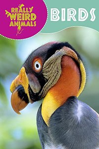Really Weird Animals: Birds
