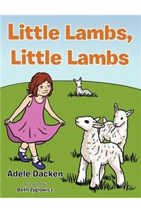 Little Lambs, Little Lambs