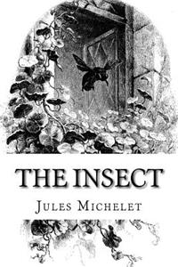 The Insect