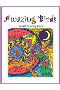 Amazing Birds Adult Coloring Book