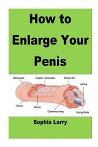 How to Enlarge Your Penis