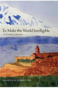 To Make the World Intelligible