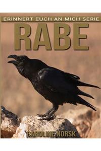 Rabe