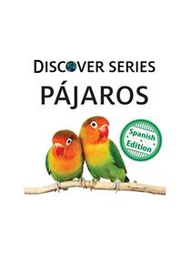 Pájaros