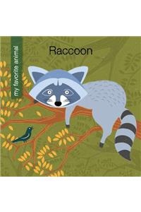 Raccoon