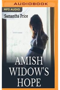 Amish Widow's Hope