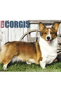 Just Corgis 2019 Box Calendar (Dog Breed Calendar)