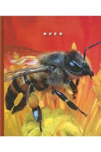 Bees