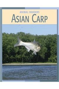 Asian Carp