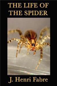 Life of the Spider