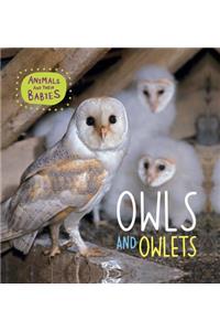 Owls and Owlets