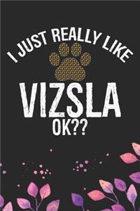 I Just Really Like Vizsla Ok?