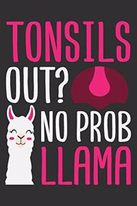 Tonsils Out? No Prob Llama