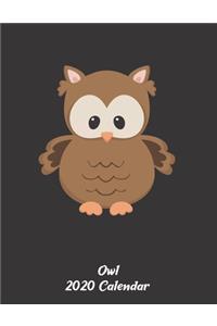 2020 Owl Calendar