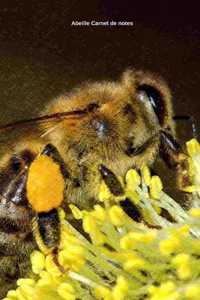 Abeille Carnet de notes