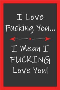 Love Fucking You I Mean I Fucking Love You