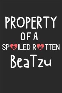 Property Of A Spoiled Rotten BeaTzu