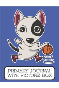 Primary Journal With Picture Box