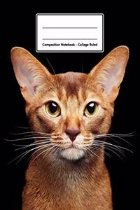Composition Notebook - College Ruled
