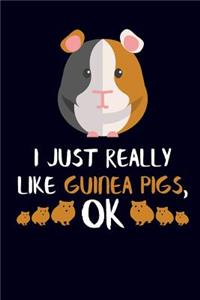 I Just Really Like Guinea Pigs, Ok