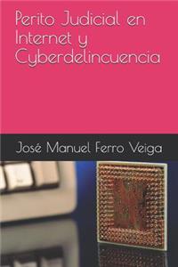 Perito Judicial En Internet Y Cyberdelincuencia