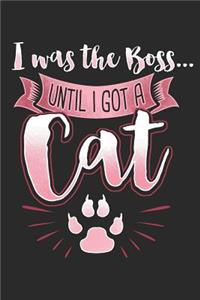 I Was the Boss Until I Got a Cat