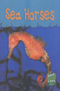 Read and Learn: Sea Life - Sea Horses