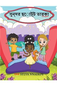 সুন্দর ছোট্ট তারকা