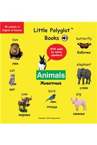 Animals